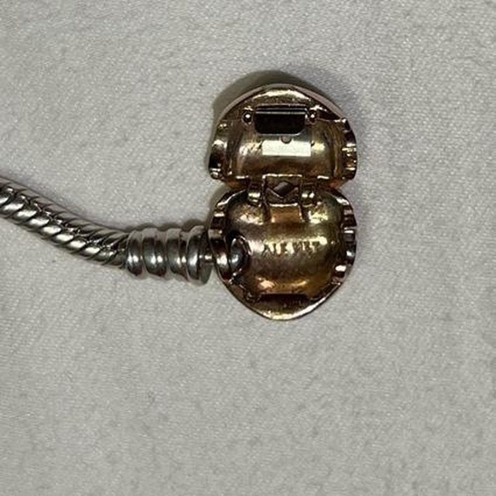 Pandora - Picture 7 of 8